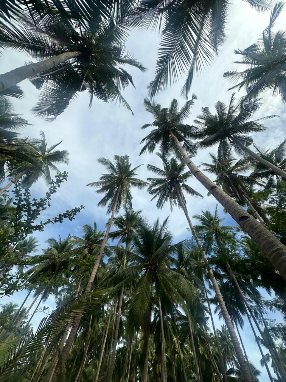 Efrena Agro Tourism Beach El Nido Kültér fotó