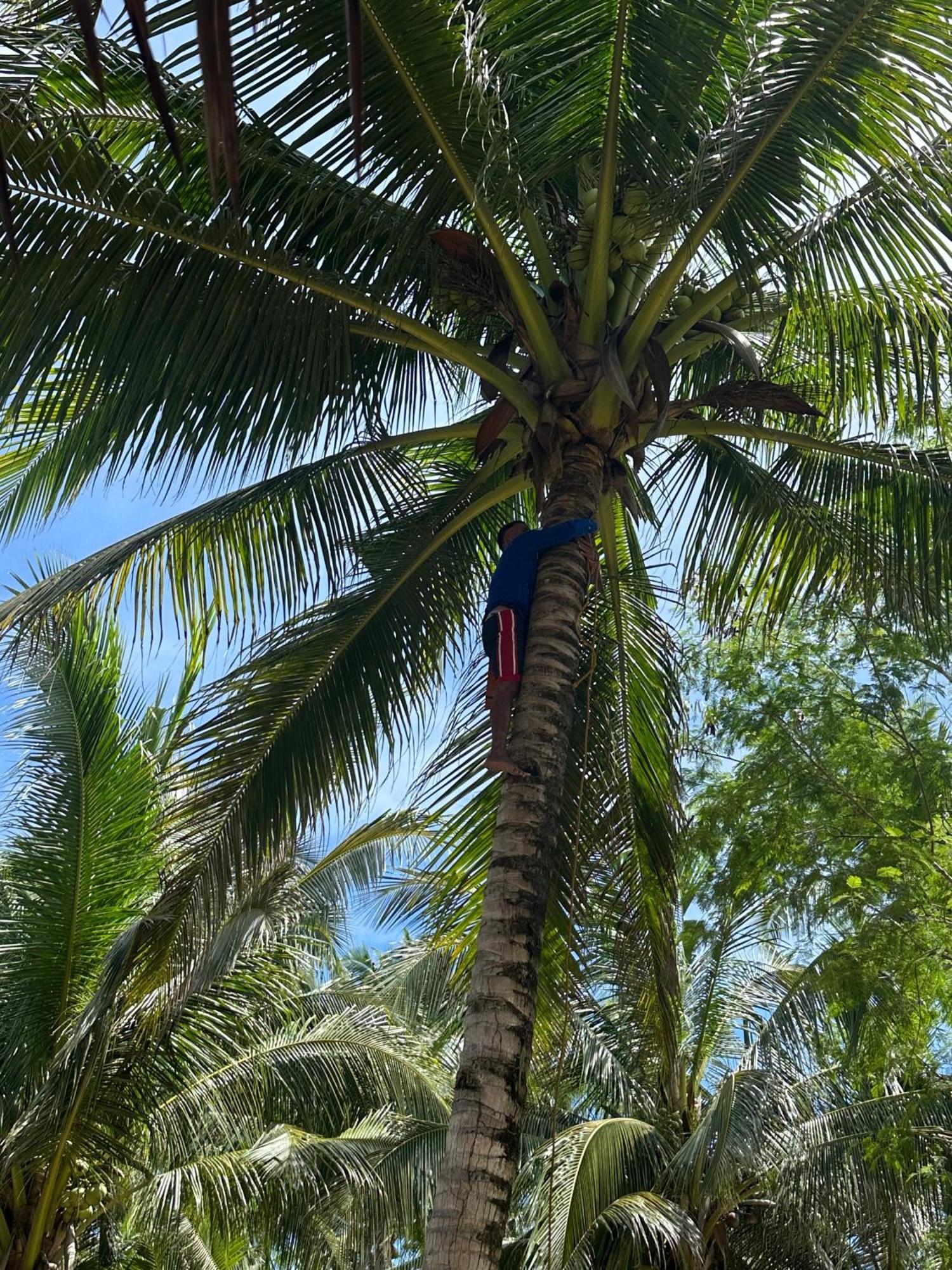 Efrena Agro Tourism Beach El Nido Kültér fotó