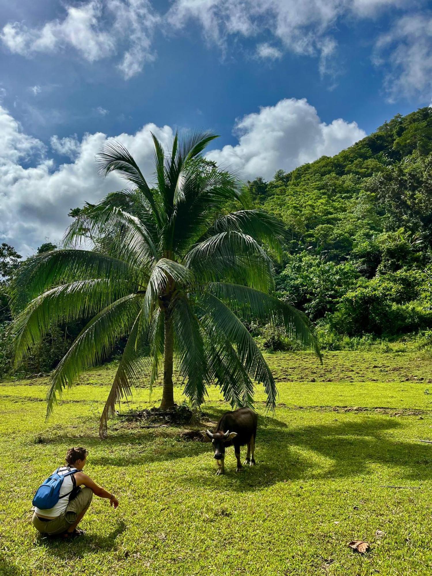 Efrena Agro Tourism Beach El Nido Kültér fotó